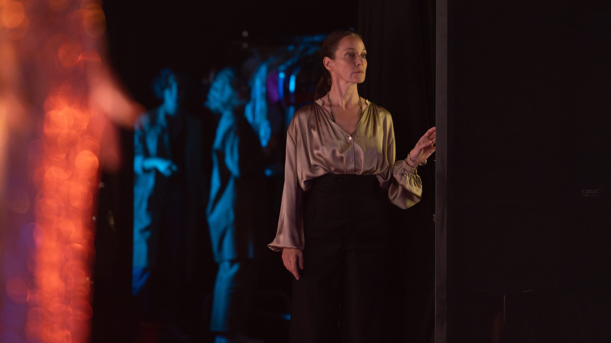 FSP Love Of Lights Show